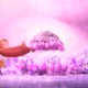 photo du film L'Âge de glace : les lois de l'univers
