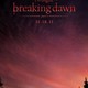 photo du film Twilight - Chapitre 4 : Révélation, partie 1