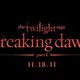 photo du film Twilight - Chapitre 4 : Révélation, partie 1