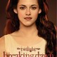 photo du film Twilight - Chapitre 4 : Révélation, partie 1