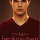 photo du film Twilight - Chapitre 4 : Révélation, partie 1