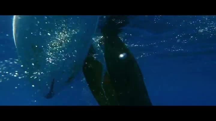 Extrait vidéo du film  Nous, Tikopia