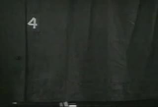 Un extrait du film  Un Jour au cirque