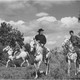 photo du film Chien de pique