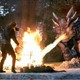 photo du film Coeur de dragon