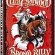photo du film Bronco Billy