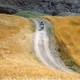photo du film Le Vent nous emportera