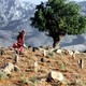 photo du film Le Vent nous emportera