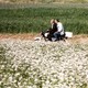 photo du film Le Vent nous emportera