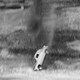 photo du film Charles mort ou vif
