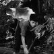 photo du film Louisiana Story