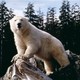 photo du film Alaska