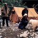 photo du film Alaska