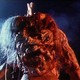photo du film Braindead