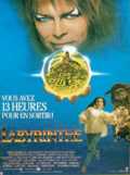 voir la fiche complète du film : Labyrinthe