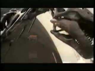 Extrait vidéo du film  Relic