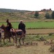 photo du film La Rose et la Flèche