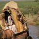 photo du film La Rose et la Flèche