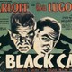 photo du film Le Chat noir