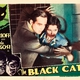 photo du film Le Chat noir