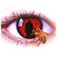 photo du film Candyman