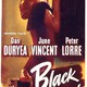 photo du film L'Ange noir