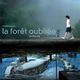 photo du film La Forêt oubliée