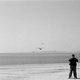photo du film La ronde de l'aube