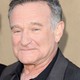 Voir les photos de Robin Williams sur bdfci.info