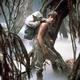 photo du film Star Wars : Episode V - L'Empire contre-attaque