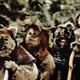 photo du film Star Wars : Episode VI - Le Retour du Jedi