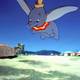 photo du film Dumbo