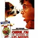 photo du film Cherie, j'ai rétreci les gosses
