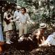 photo du film Comédie érotique d'une nuit d'été