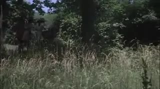 Un extrait du film  Comédie érotique d une nuit d été