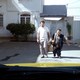 photo du film Taxi Téhéran