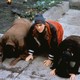 photo du film Dogma