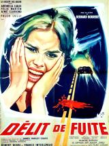 voir la fiche complète du film : Délit de fuite