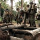 photo de la série Band of Brothers : L'Enfer du Pacifique