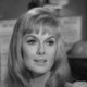 Voir les photos de Leslie Parrish sur bdfci.info