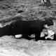 photo du film La Nuit