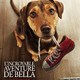 photo du film L'Incroyable aventure de Bella