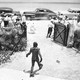 photo du film La Revanche de la creature
