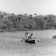 photo du film La Foret interdite