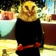 photo du film Bloody Bird