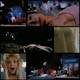 photo du film Bloody Bird