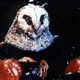 photo du film Bloody Bird