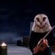 photo du film Bloody Bird