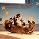 photo du film Toy Story 2