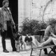 photo du film Hurlevent